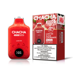 CHACHA 8000(5pc/Cartom)